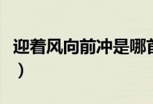 迎着风向前冲是哪首歌（迎着风向前冲什么歌）