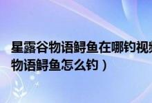 星露谷物语鲟鱼在哪钓视频（星露谷物语鲟鱼在哪钓 星露谷物语鲟鱼怎么钓）
