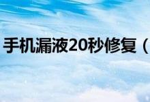 手机漏液20秒修复（手机内屏坏了什么现象）
