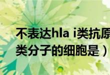 不表达hla i类抗原的细胞是()（不表达hla i类分子的细胞是）