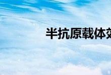 半抗原载体效应是（半抗原）