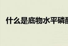 什么是底物水平磷酸化（底物水平磷酸化）