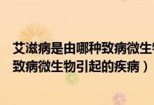 艾滋病是由哪种致病微生物引起的疾病 A(艾滋病是由哪种致病微生物引起的疾病)