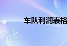 车队利润表格式（利润表格式）