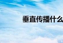 垂直传播什么意思（垂直传播）