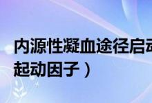 内源性凝血途径启动因子（内源性凝血途径的起动因子）