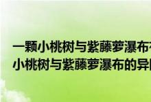 一颗小桃树与紫藤萝瀑布有什么相同之处和不同之处（一棵小桃树与紫藤萝瀑布的异同）