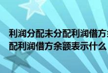 利润分配未分配利润借方余额反映的是什么(利润分配未分配利润借方余额表示什么)