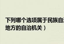 下列哪个选项属于民族自治地方的自治机关（属于民族自治地方的自治机关）