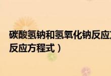 碳酸氢钠和氢氧化钠反应方程式离子（碳酸氢钠和氢氧化钠反应方程式）