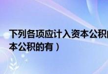 下列各项应计入资本公积的项目的有（下列各项中应计入资本公积的有）