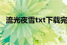 流光夜雪txt下载完结(流光夜雪txt下载)