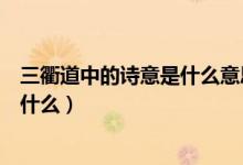 三衢道中的诗意是什么意思三年级下册（三衢道中的诗意是什么）