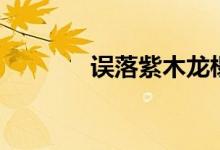 误落紫木龙榻（花痴落龙床）