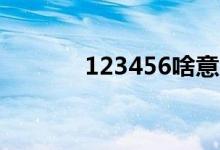 123456啥意思（456啥意思）