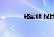 骆蔚峰 绿地香港(骆蔚峰)