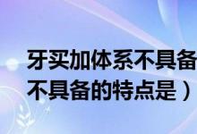 牙买加体系不具备的特点是( )(牙买加体系不具备的特点是)