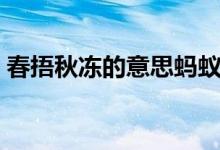 春捂秋冻的意思蚂蚁庄园（春捂秋冻的意思）