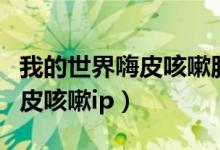 我的世界嗨皮咳嗽服务器怎么进（我的世界嗨皮咳嗽ip）