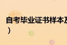 自考毕业证书样本及图片（自考毕业证书样本）