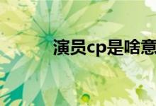 演员cp是啥意思（cp是啥意思）