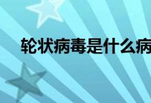轮状病毒是什么病毒（轮状病毒是什么）