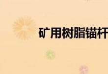 矿用树脂锚杆型号(锚杆型号)