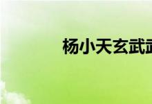 杨小天玄武武魂（不撸小天）