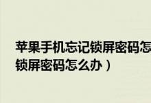 苹果手机忘记锁屏密码怎么办?一分钟解决（苹果手机忘记锁屏密码怎么办）