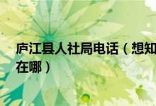 庐江县人社局电话（想知道  庐江县人力资源和社会保障局在哪）