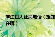 庐江县人社局电话（想知道  庐江县人力资源和社会保障局在哪）