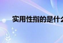 实用性指的是什么（实用性什么意思）