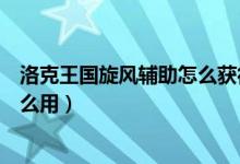 洛克王国旋风辅助怎么获得绝版宠物（洛克王国旋风辅助怎么用）