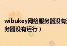 wibukey网络服务器没有运行网络不连接（wibukey网络服务器没有运行）