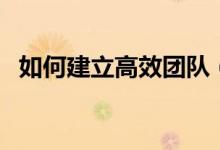 如何建立高效团队（如何提高团队执行力）