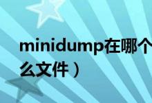 minidump在哪个文件夹（minidump是什么文件）