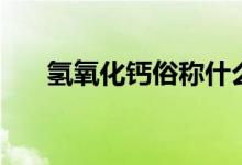 氢氧化钙俗称什么碱（氢氧化钙俗称）