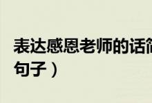 表达感恩老师的话简短精辟(表达感恩老师的句子)