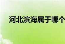 河北滨海属于哪个市（滨海属于哪个市）