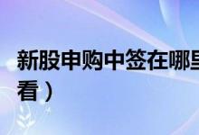 新股申购中签在哪里看（新股申购中签号怎么看）