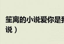 笙离的小说爱你是我做过最好的事（笙离的小说）