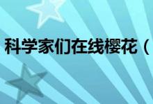 科学家们在线樱花（科学家们无修版在线看）