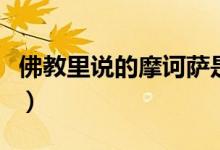 佛教里说的摩诃萨是什么意思(什么是摩诃萨)