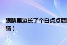 眼睛里边长了个白点点磨眼睛（眼睛里面长了个小白点磨眼睛）