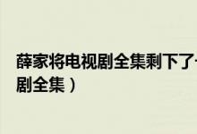 薛家将电视剧全集剩下了一个女儿什么电视剧（薛家将电视剧全集）