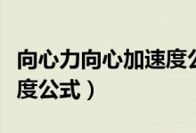 向心力向心加速度公式概念（向心力向心加速度公式）
