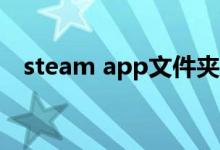 steam app文件夹（steamapps目录在）