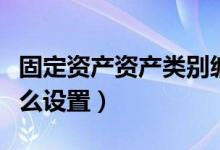 固定资产资产类别编码（固定资产类别编码怎么设置）