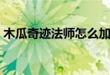 木瓜奇迹法师怎么加点（奇迹法师怎么加点）