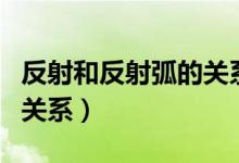 反射和反射弧的关系是什么（反射和反射弧的关系）